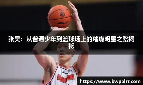 熊猫体育官网